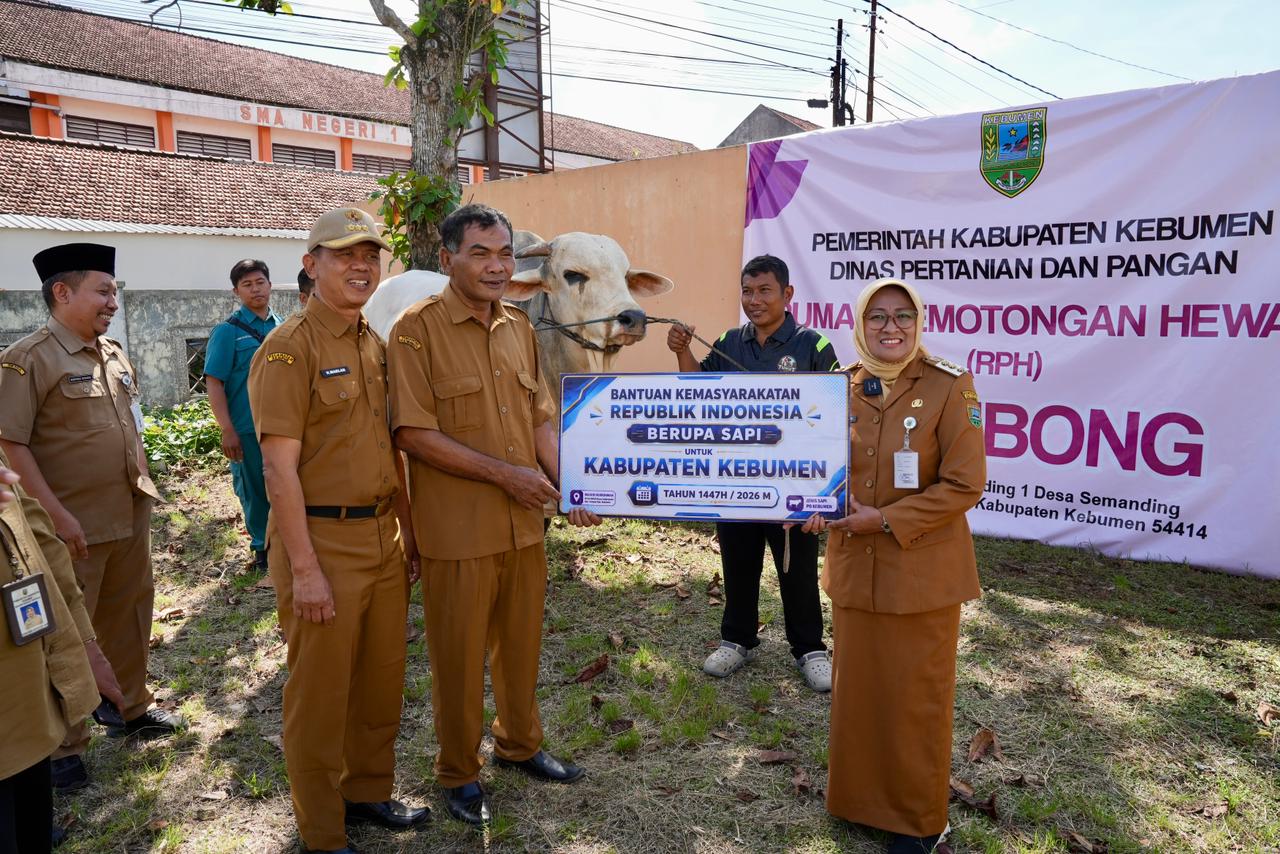 Bupati Kebumen Salurkan 8 Ekor Sapi Kurban dan 1 dari Presiden